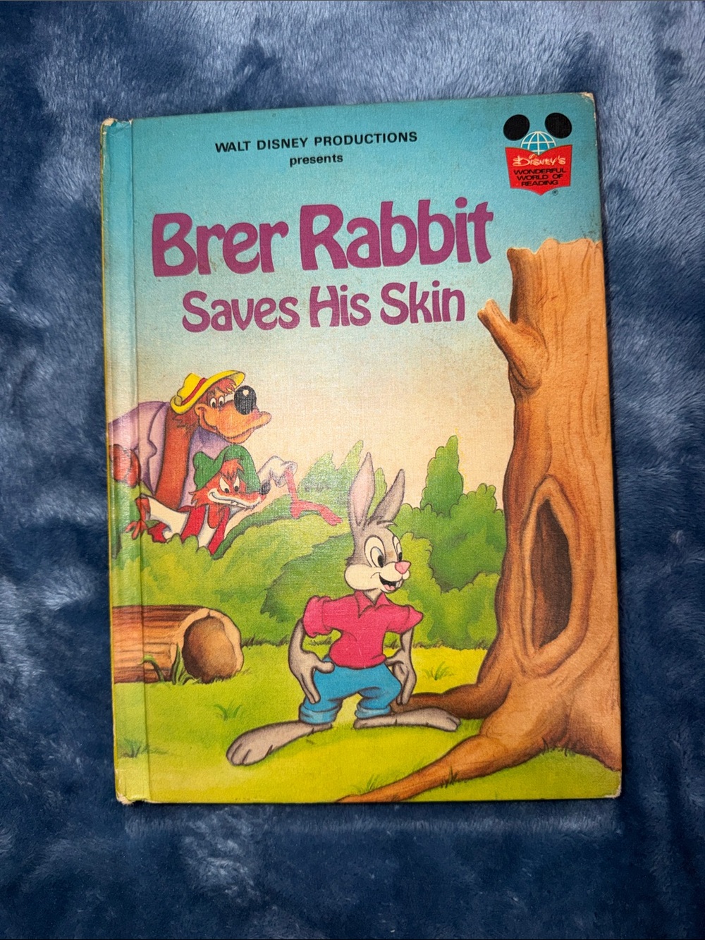 Disney Brer Rabbit Saves His Skin